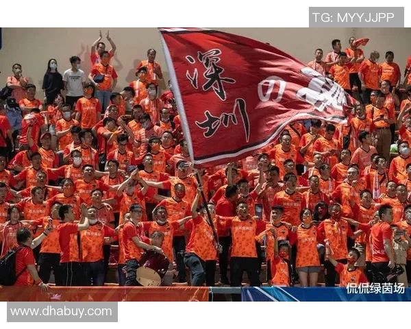 深圳排球队的比赛经验分析与启示探讨助力排球发展之路 深圳排球队的比赛经验分析与启示探讨助力排球发展之路