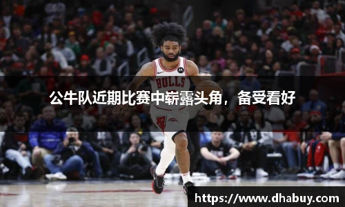 VSport官网入口vsport体育在线官网