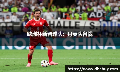欧洲杯新晋球队：丹麦队备战