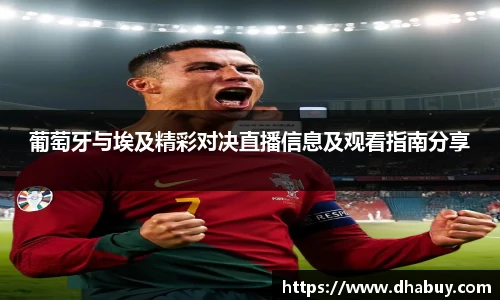 VSport官网入口vsport体育在线官网
