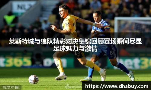 莱斯特城与狼队精彩对决集锦回顾赛场瞬间尽显足球魅力与激情